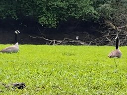 Phillippsbureg, 2 Tage Tour, Mai 2026